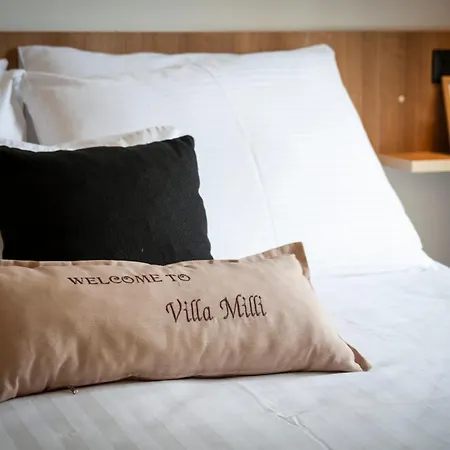 Guest house Milli 3*