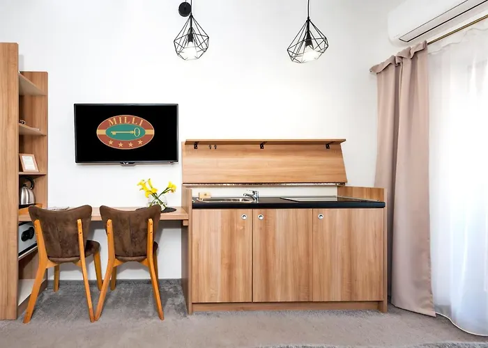 Πανσιόν Milli 3*