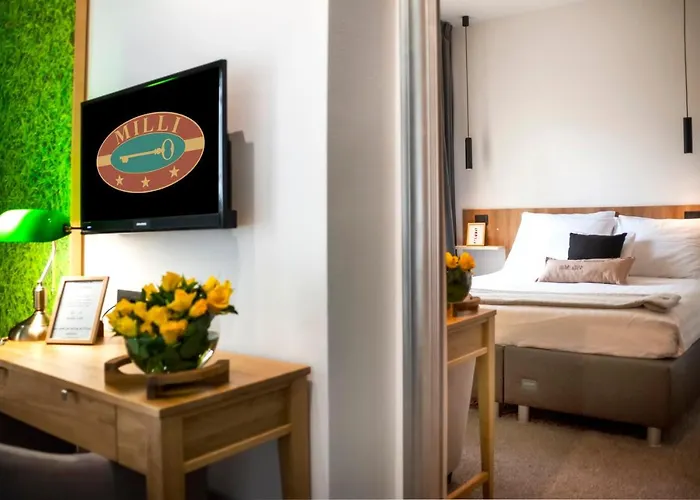 Milli Πανσιόν Ρόβινι